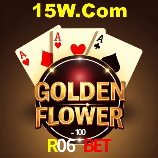 Interface Premium R06 Bet