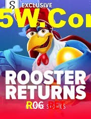 Crash Games Statistics R06 Bet